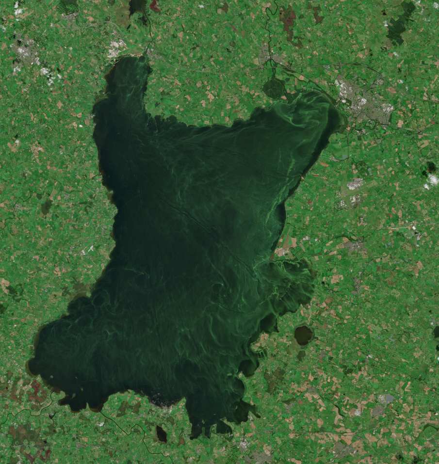 UK's largest lake 'dying' as algae blooms worsen Satellite Image: This true colour Sentinel-2 image from 4 September 2023 shows algae bloom conditions in Lough Neagh, Northern Ireland