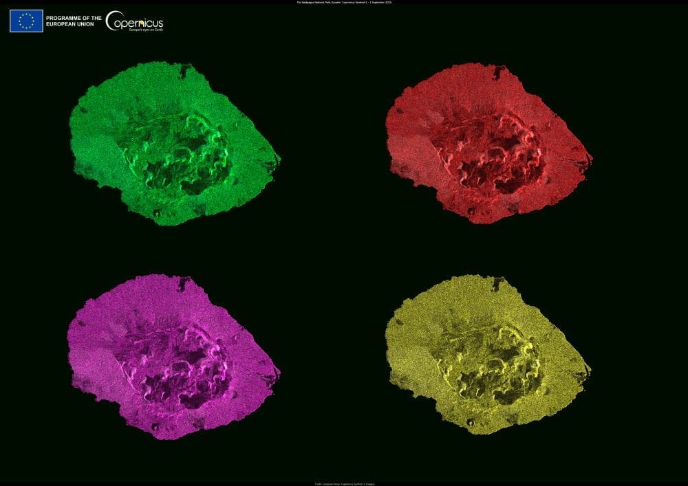 Satellite Image: Marchena Island, Ecuador (artistic impression)