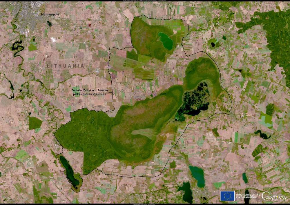 Satellite Image: Žuvinto, Žaltycio ir Amalvo pelkės, Lithuania