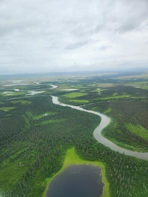 Image: aerial view of a river in Alaska