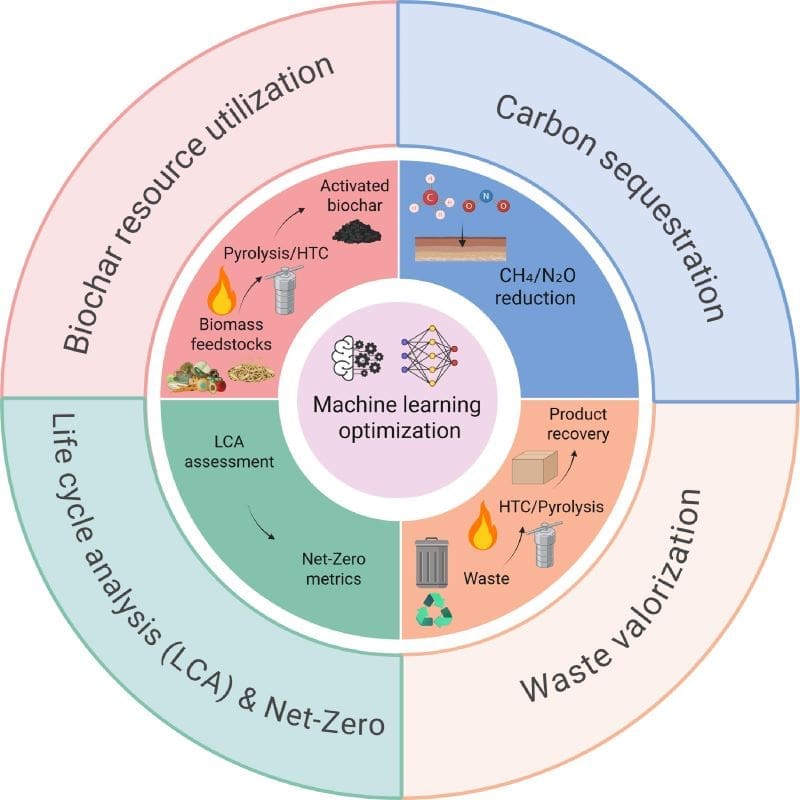 Machine learning boosts biochar efficiency and carbon capture Image: Graphical abstract (s. machine learning optimization. biochar)