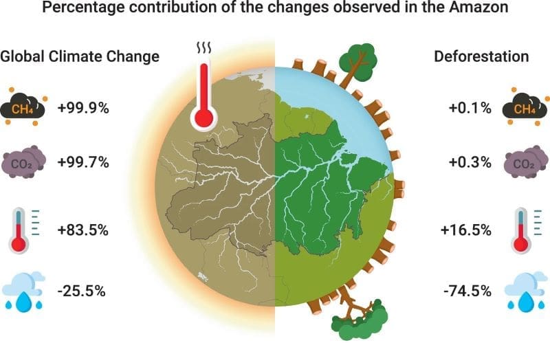 Image: Relative contributions of climate change and deforestation to the Amazonian climate