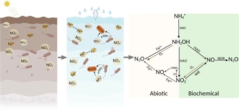 Image: Conceptual illustration