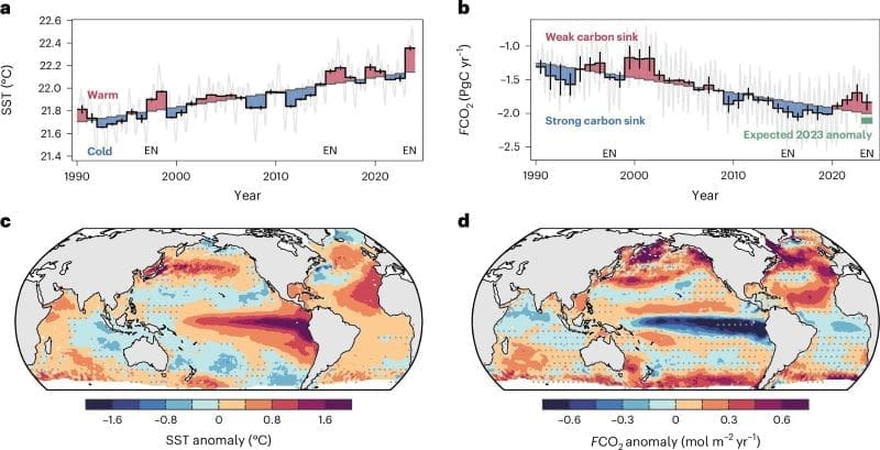 Ocean carbon sink weakened as record heat drove CO₂ release in 2023 Image: Diagnosis of the record-high SSTs in 2023 and their impact on sea-to-air CO2 fluxes (s. ocean carbon sink)