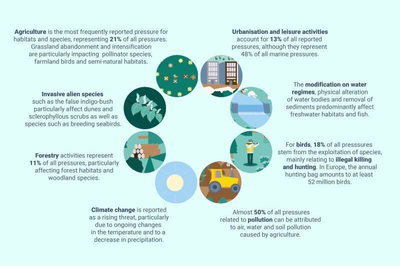 Europe must step up efforts to protect environment: report Image: Infographic (s. Europe, biodiversity)
