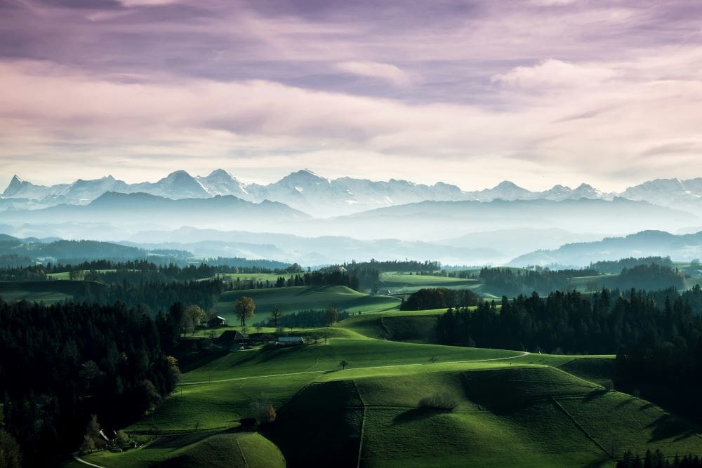 Image: green grass field, trees and mountains, Switzerland, Europe