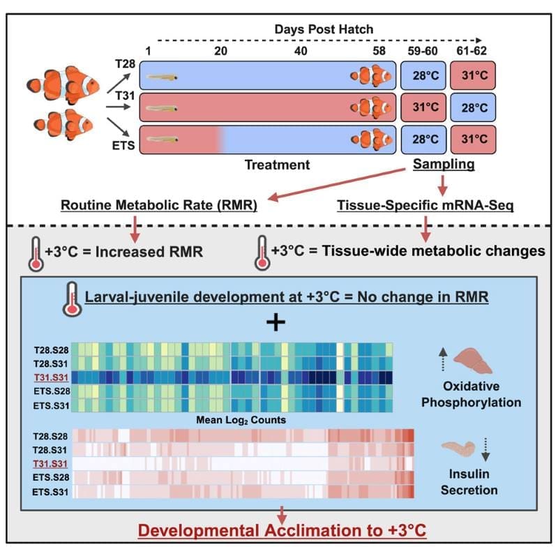Image: Graphical abstract (s. climate. science. climate change)