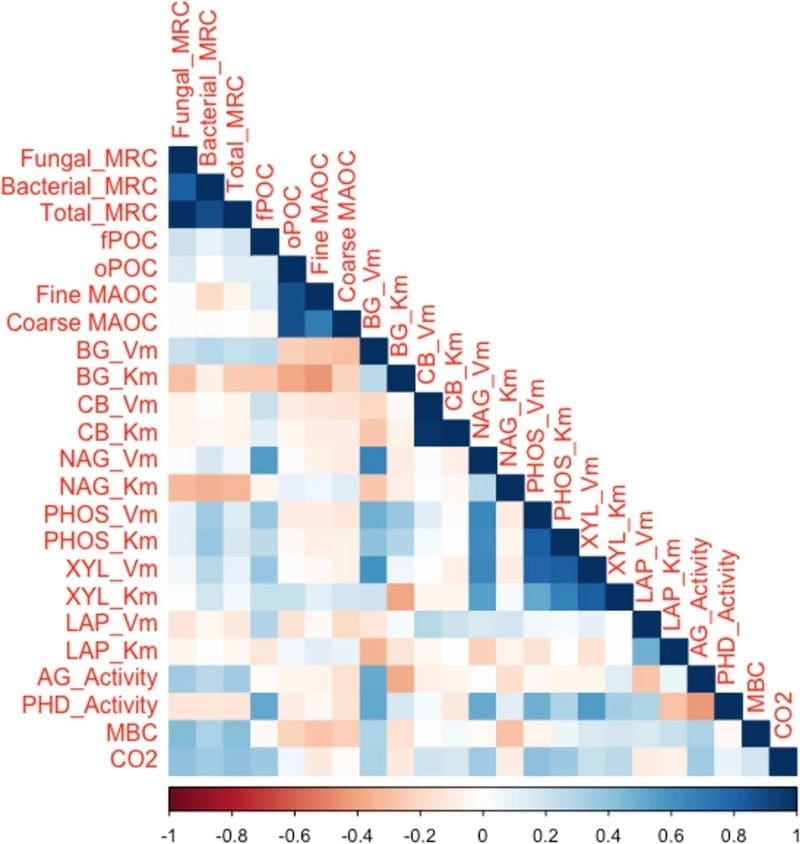 Image: Correlation matrix between measured soil properties after incubation