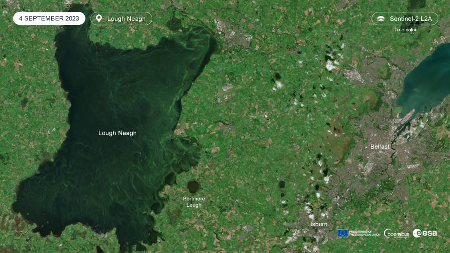 UK's largest lake 'dying' as algae blooms worsen Satellite Image: Lough Neagh, Northern Ireland