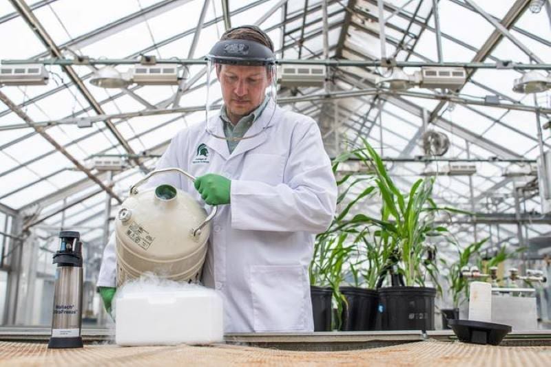 Image: Berkley Walker used liquid nitrogen to freeze plant leaves