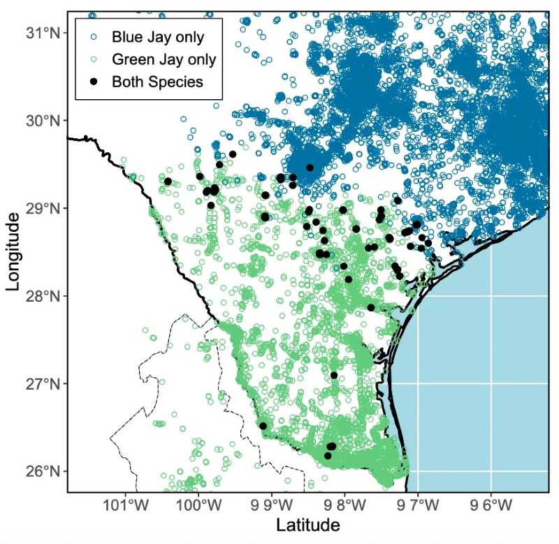 Image: Map of occurence of blue jays and green jays in Texas