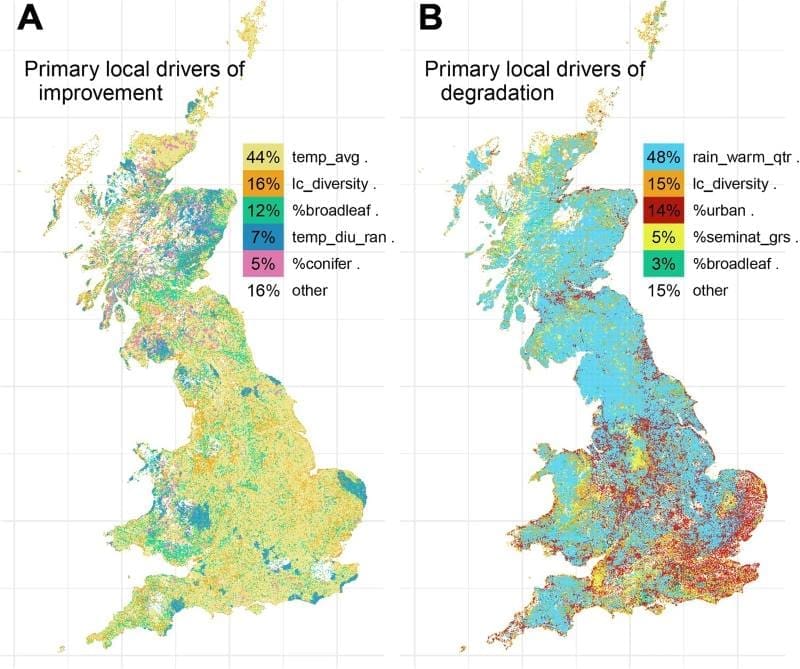 Image: Maps of the primary local drivers of insect occupancy changes 
