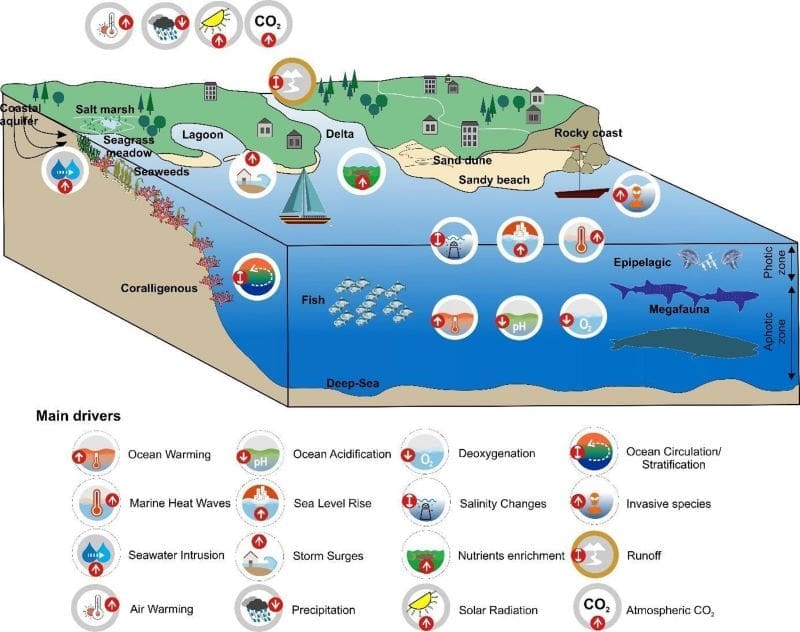Mediterranean Sea faces severe climate risks, study warns Image: Schematic illustration (s. Mediterranean Sea)