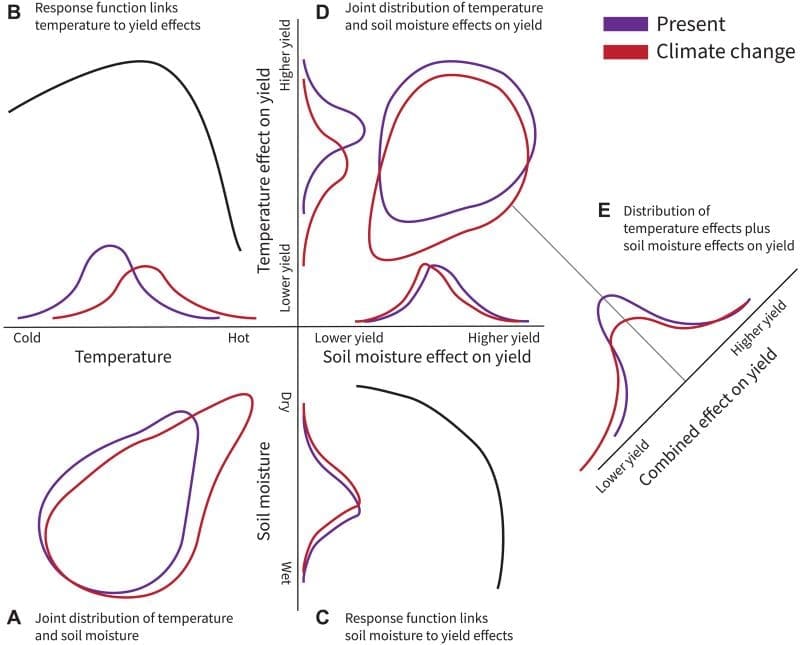 Image: Schematic overview: Changes in the distribution of growing season temperature and soil moisture increase summer crop interannual yield variance under climate change 