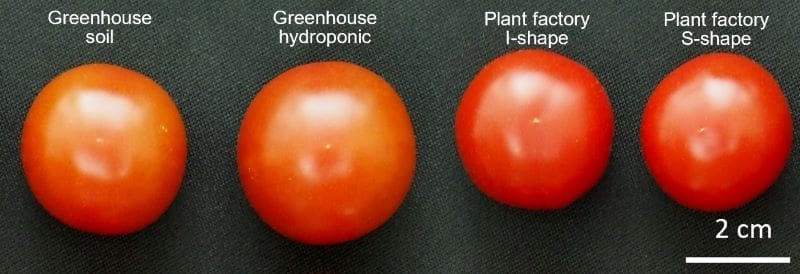 Image: Bigger but not necessarily better