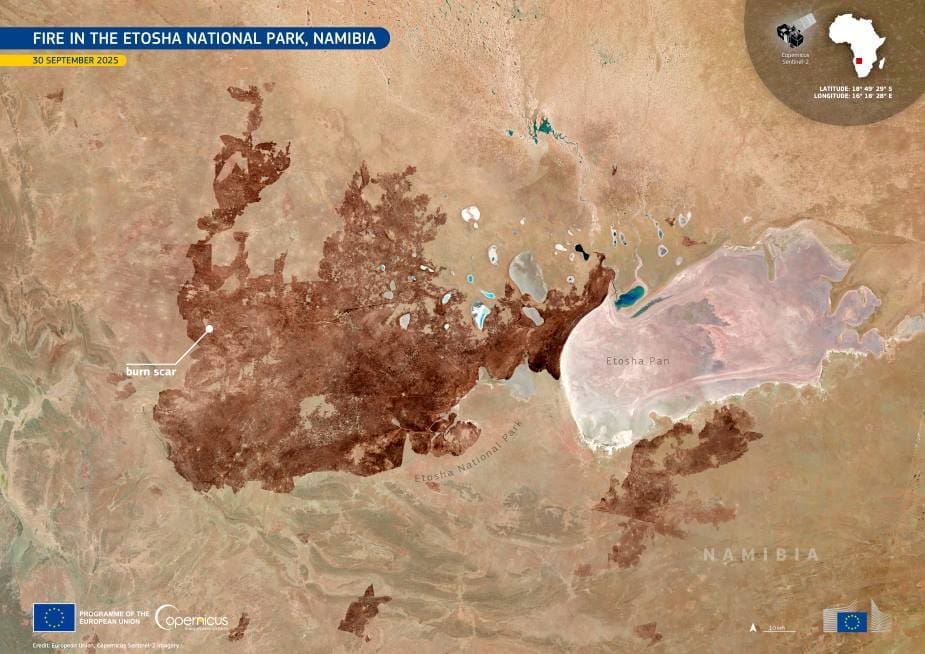 Image of the day: Fire scars Namibia’s Etosha National Park Satellite Image: Etosha National Park, Namibia (s. wildfire)
