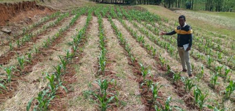 Climate Science Digest: October 6, 2025 Image: In Ethiopia, understanding soil is key to climate adaptation