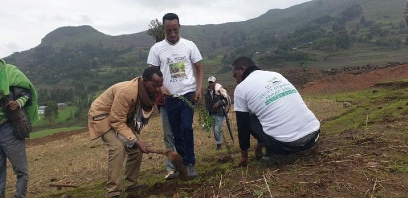 Image: In Ethiopia, agroforestry is part of climate adaptation