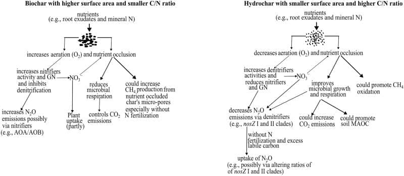 Different chars, different climate effects in northern soils Image: A conceptual model showing interactions of biochar and hydrochar with legume-forage soil with vegetation