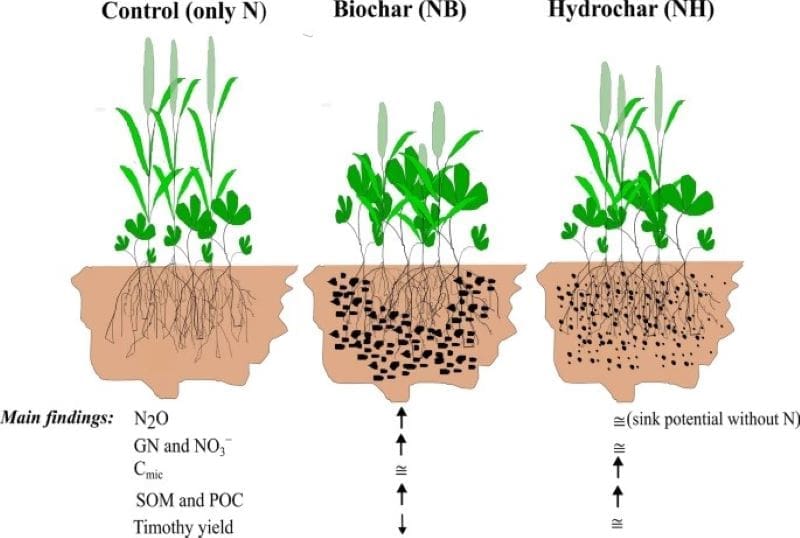 Different chars, different climate effects in northern soils Image: Graphical abstract - Effects of biochar, hydrochar and nitrogen fertilization on greenhouse gas fluxes, soil organic carbon pools, and biomass yield of a boreal legume grassland