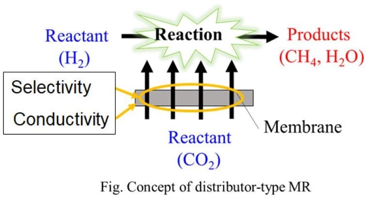 Image: Graphical Abstract