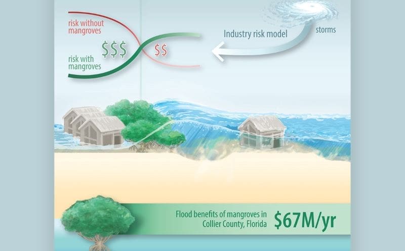 Climate Science Digest: October 15, 2025 Image: Monetary benefit of mangroves for coastal properties