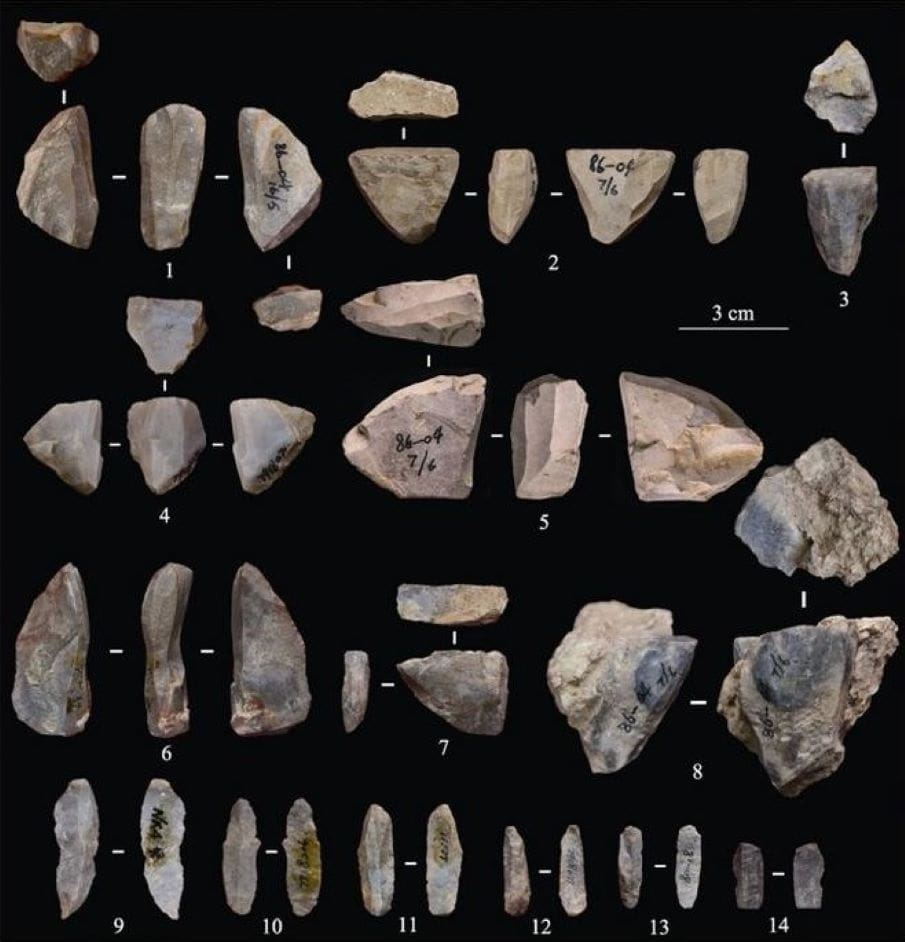 Image: Selected microblade and microblade cores excavated from Xiqiaoshan