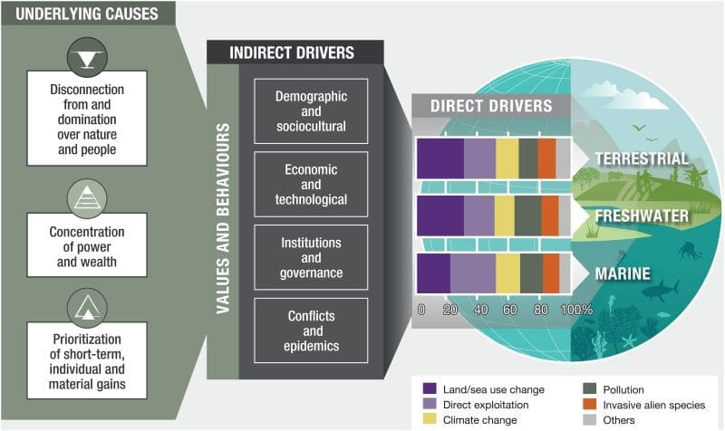 Climate Science Digest: October 1, 2025 Image: Underlying causes, indirect drivers and direct drivers of biodiversity loss and nature’s decline
