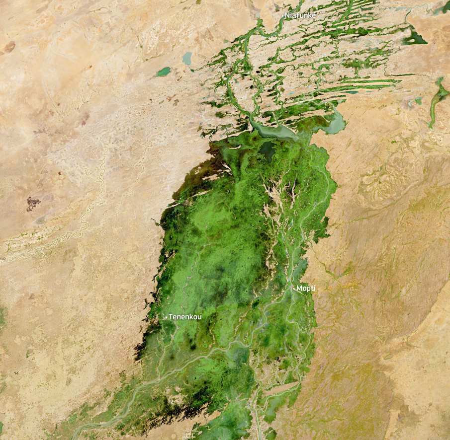 Satellite Image: Inland Delta of the Niger River, Mali