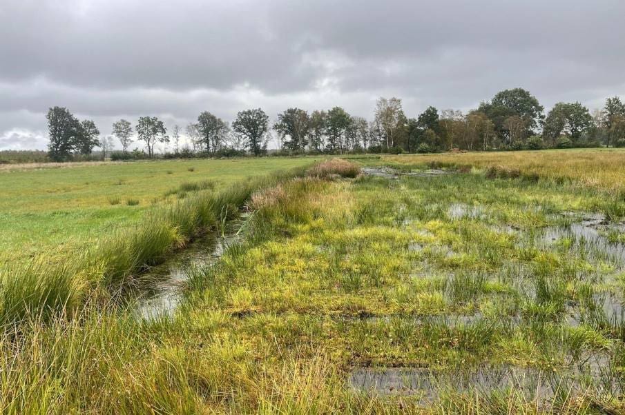 Image: Multifunctional land use in Wietingsmoor