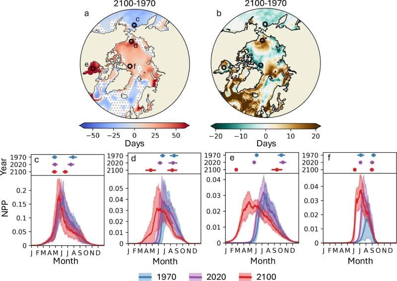 Image: Annual cycles in daily NPP for 1970, 2020, and 2100 at four locations (s. Arctic phytoplankton blooms, climate change)
