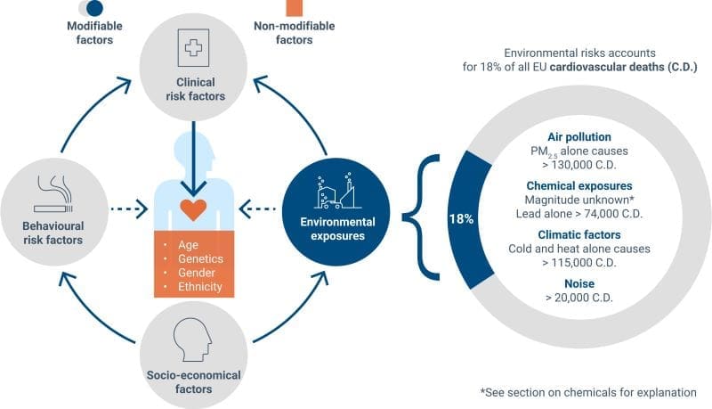 Image: Cardiovascular disease: focus on environmental risk factors (s. cardiovascular deaths, environment)