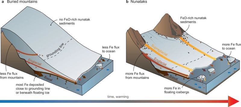 As ice thins, Antarctic mountains reveal a hidden iron supply to the ocean Image: Schematic diagram depicting sediment and iron (Fe) transfer through Antarctic glacial margins