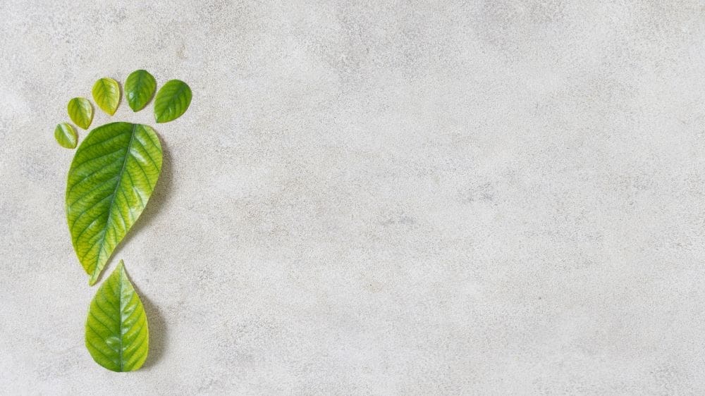 Image: Still life sustainable lifestyle elements composition (s. carbon footprint, climate change)