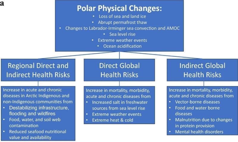 Climate Science Digest: November 11, 2025 Image: Conceptual framework: showing the linkages between polar physical changes and direct and indirect, regional and global health risks