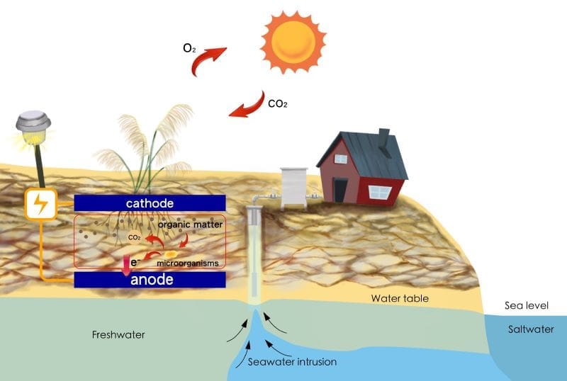 Image: Graphical abstract -  Greenhouse gas emission and functional gene dynamics in plant microbial fuel cells with natural and salt-affected soils