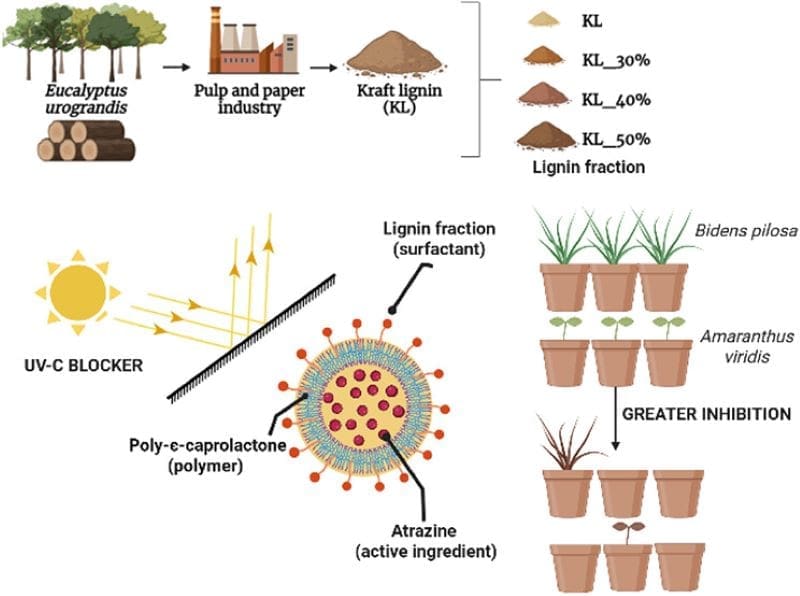 Climate Science Digest: November 4, 2025 Image: Graphic abstract
