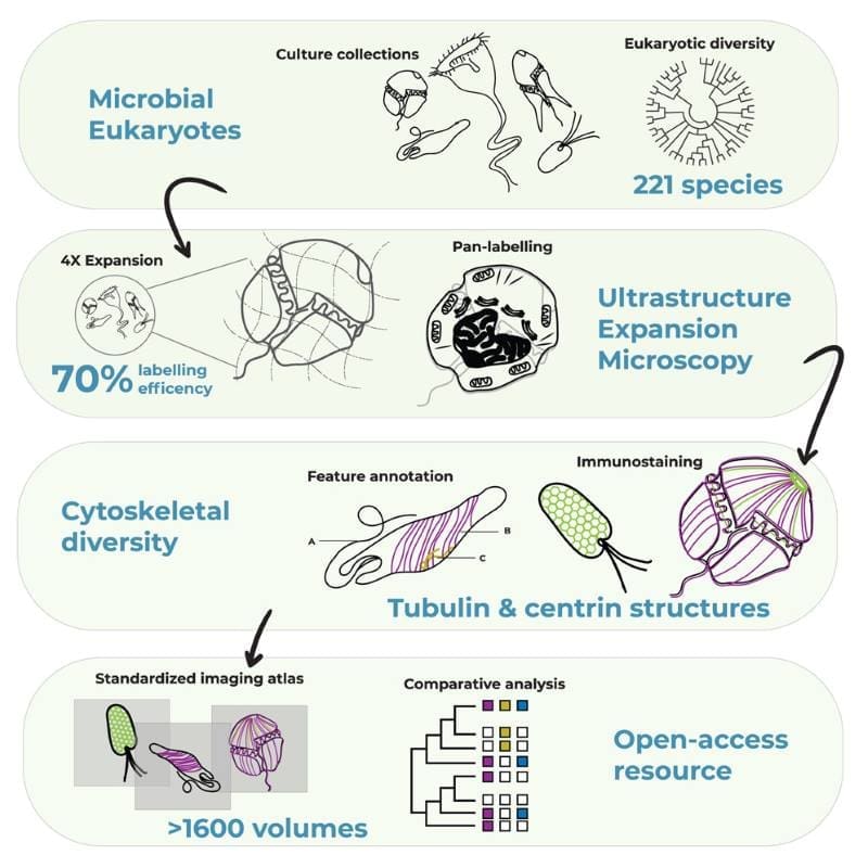 Climate Science Digest: November 3, 2025 Image: Graphical abstract