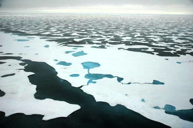 Image: Arctic sea ice