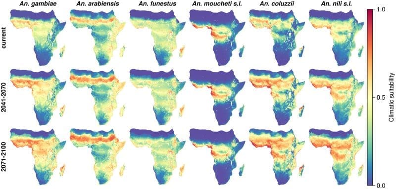 Climate Science Digest: November 28, 2025 Image: graphic - Climatic suitability of African malaria vector species under current (top row) and future (middle and bottom row) condition