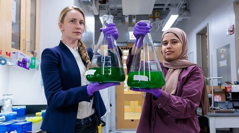 Climate Science Digest: November 11, 2025 Image: Asst. Prof. Allison Squires (left) and first author Ayesha Ejaz, PhD'25