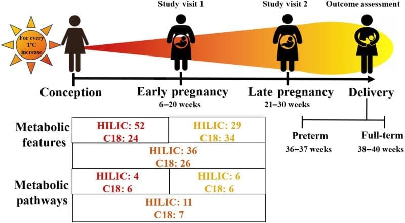 Climate Science Digest: November 24, 2025 Image: Metabolomic signatures for the association between ambient temperature exposure and PTB in the maternal metabolome, Atlanta African American Maternal-Child Cohort, 2014 to 2020 (N = 215)