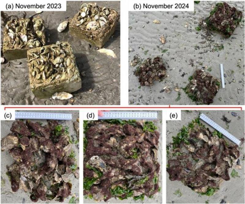 Image: specific Xiriton recipe over time (s. science, climate, green tech)