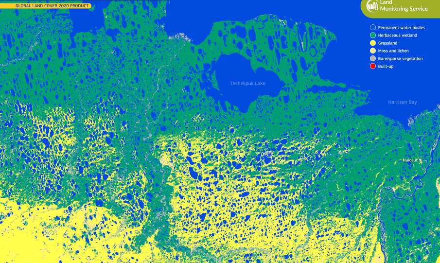 Satellite Image: The arctic wetlands of the Teshekpuk Lake, Alaska, USA