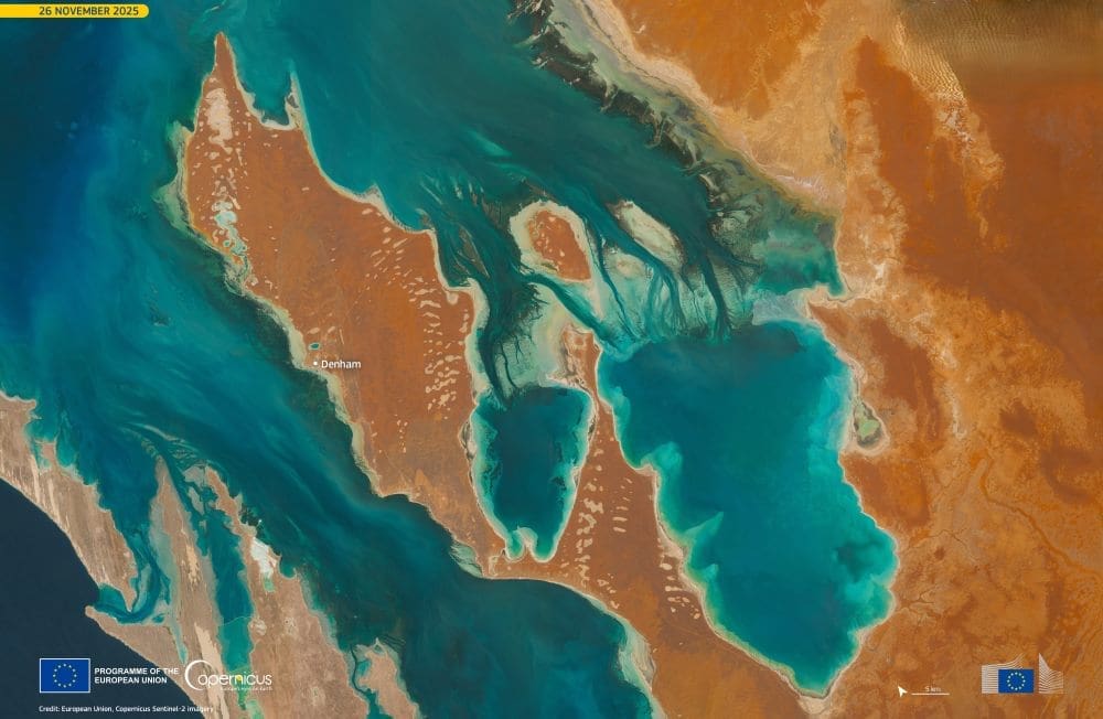 Satellite Image: Shark Bay, Australia