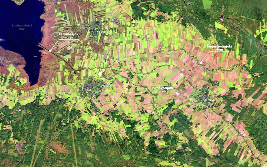 Image of the day: Autumn patterns along the Temmesjoki River in Finland Satellite Image: Temmesjoki River, Finland