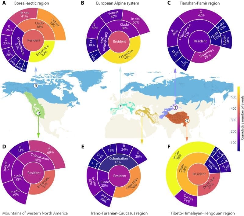 Mountain uplift and climate change drive alpine biodiversity Image: Evolutionary assembly of alpine floras across five major mountain systems and the boreal-arctic region in the Northern Hemisphere (s. climate change, mountain uplifting)