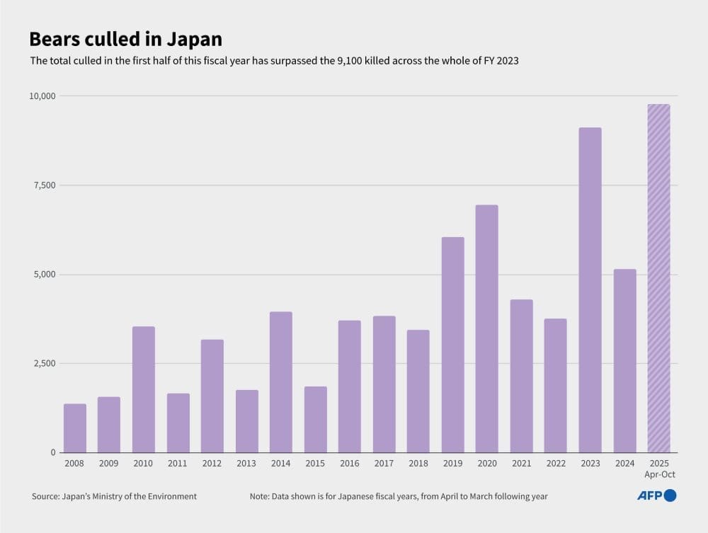 Funny old world: the week's offbeat news Image: Infographic chart showing the bears culled in Japan since 2008 (s. offbeat news)