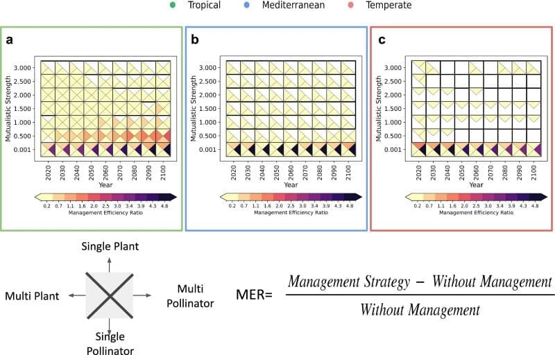 Image: Comparison of management efficiency ratio across environmental conditions and regions