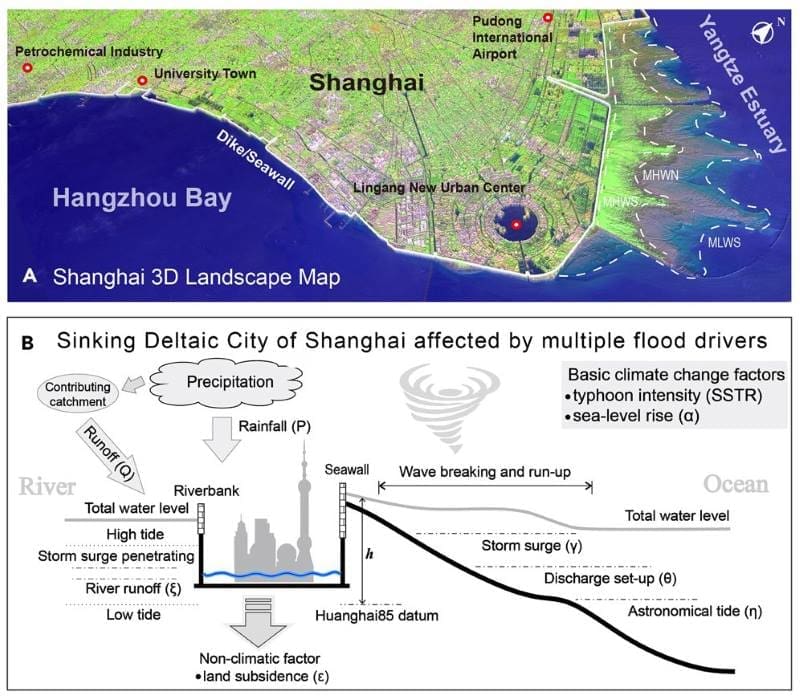 Image: Graphical abstract